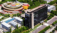 ZDF